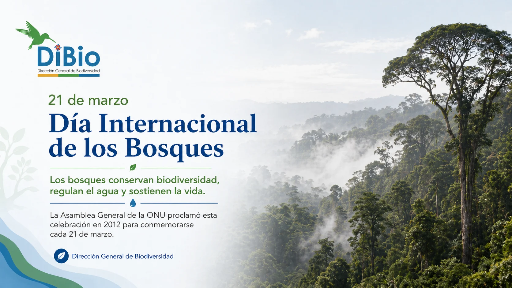 Día Internacional de los Bosques
